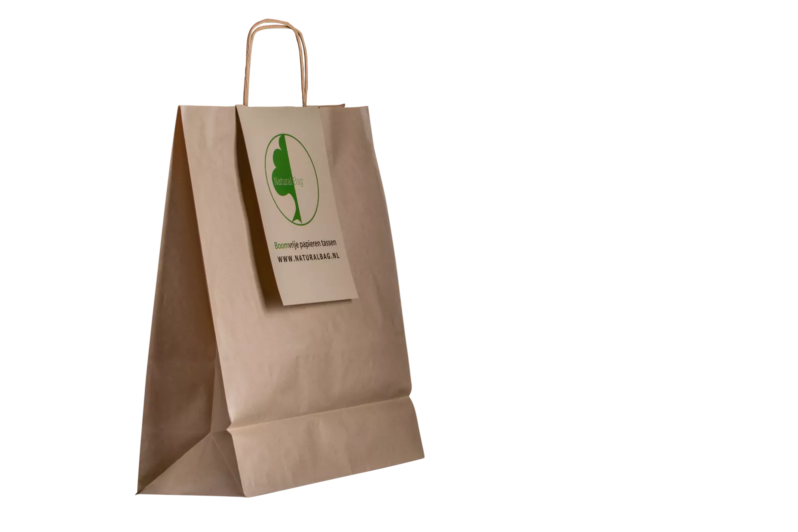 PaperWise eco friendly paper bag paperbag sustainable tree free zero waste naturalbag9c