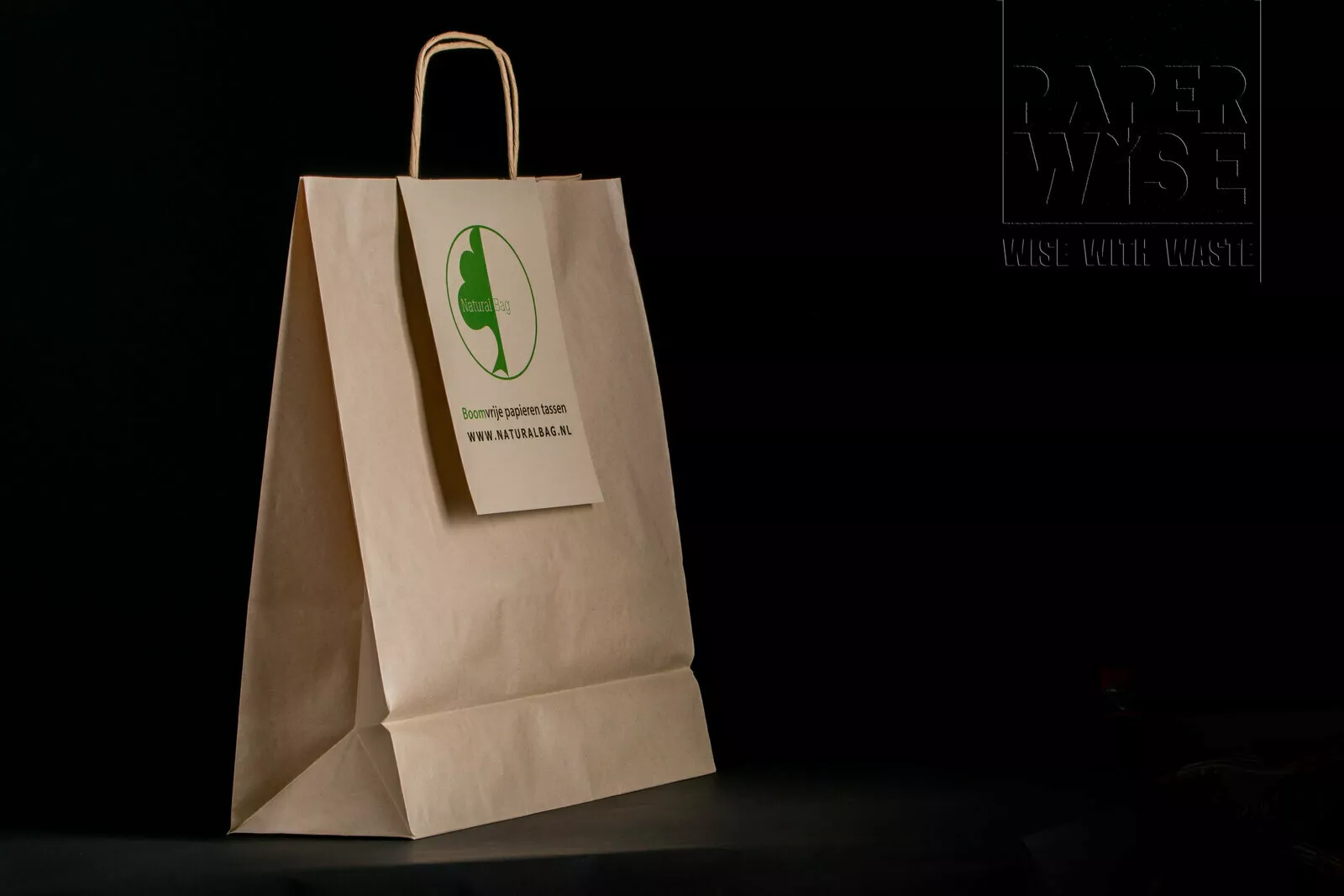 PaperWise eco friendly paper bag paperbag sustainable tree free zero waste naturalbag9