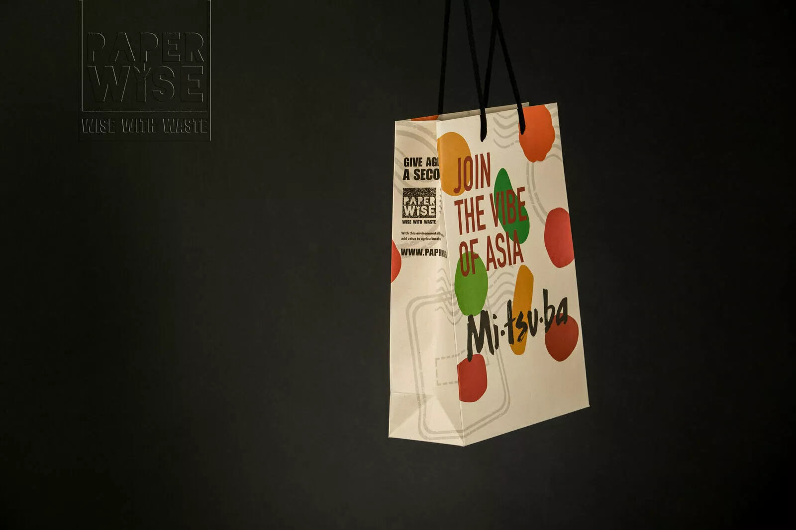 PaperWise eco friendly paper board shopping bag sustainable packaging4