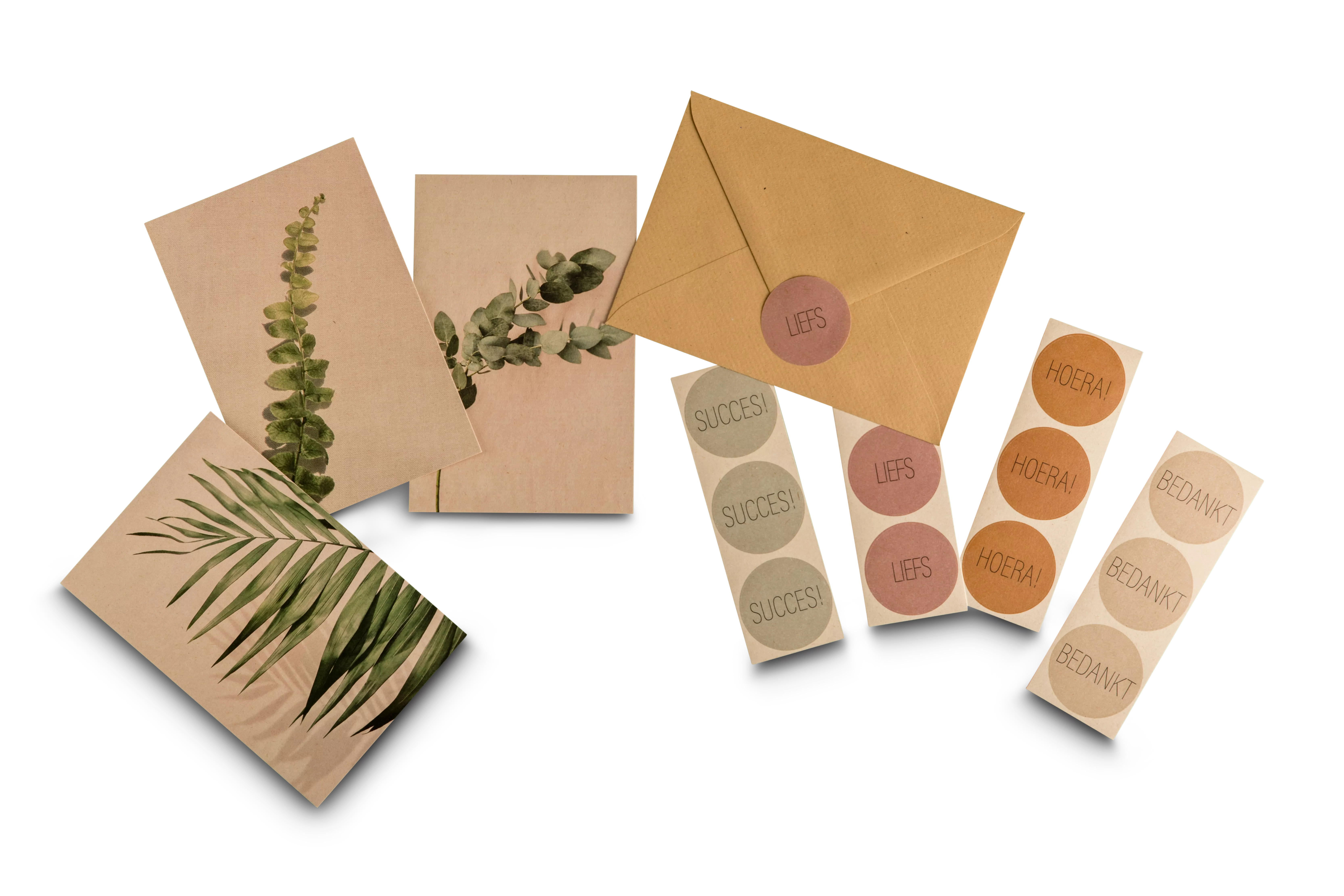 PaperWise eco natural sustainable paper board printing calender postcards labels envelopes vanzuks c