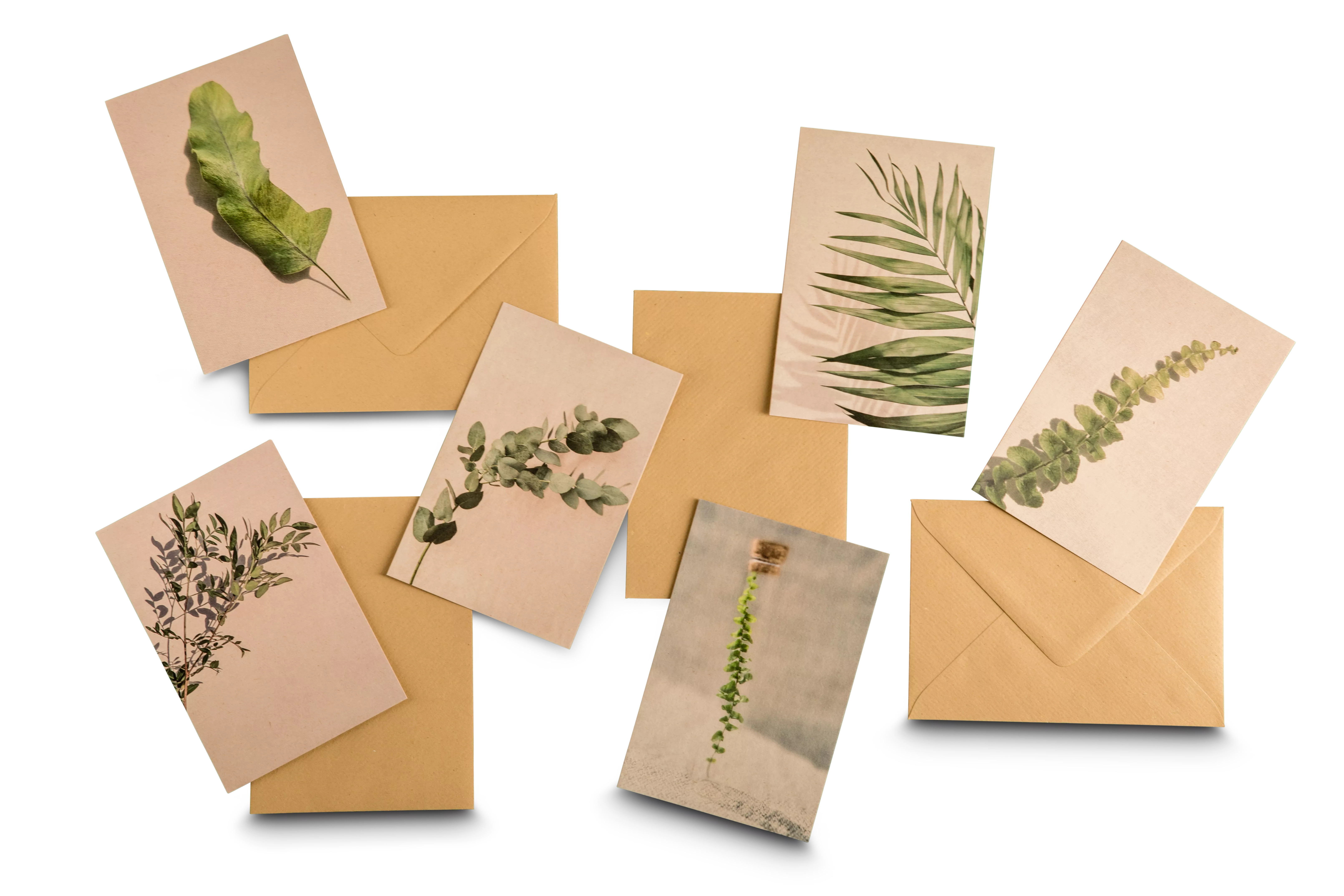 PaperWise eco natural sustainable paper board printing calender postcards labels envelopes vanzuks7c