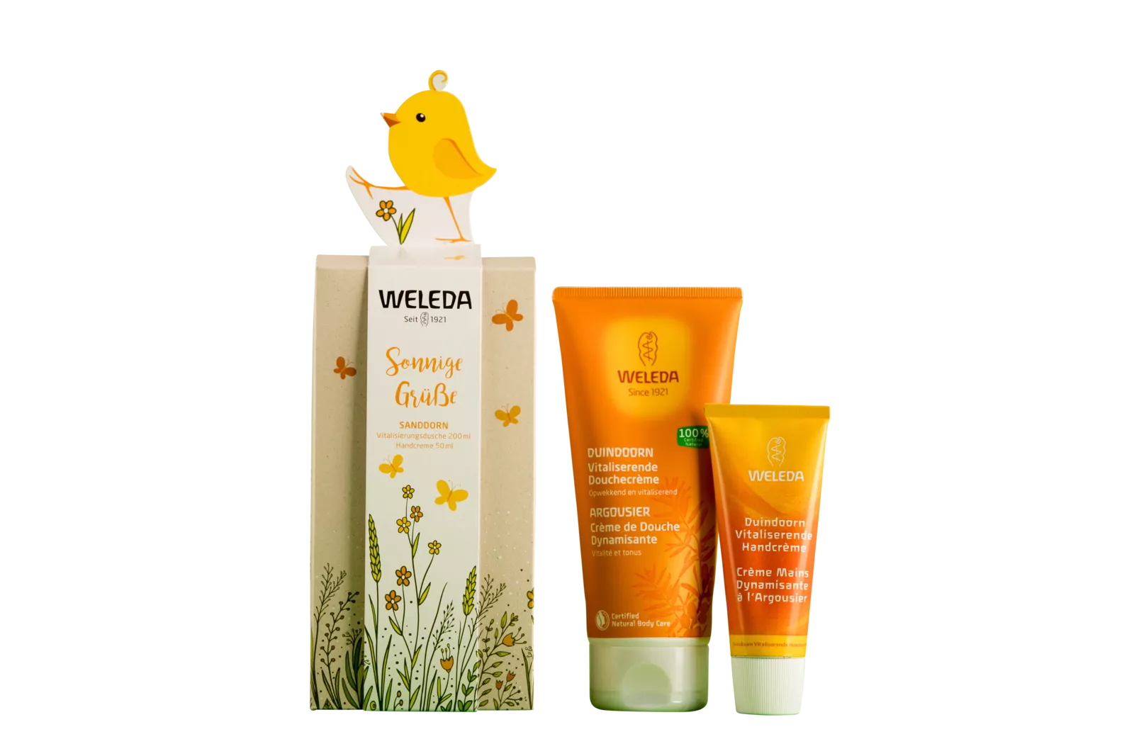 PaperWise sustainable paperboard gift packaging giftbox eco cosmetic beauty soap cream body care Weleda c