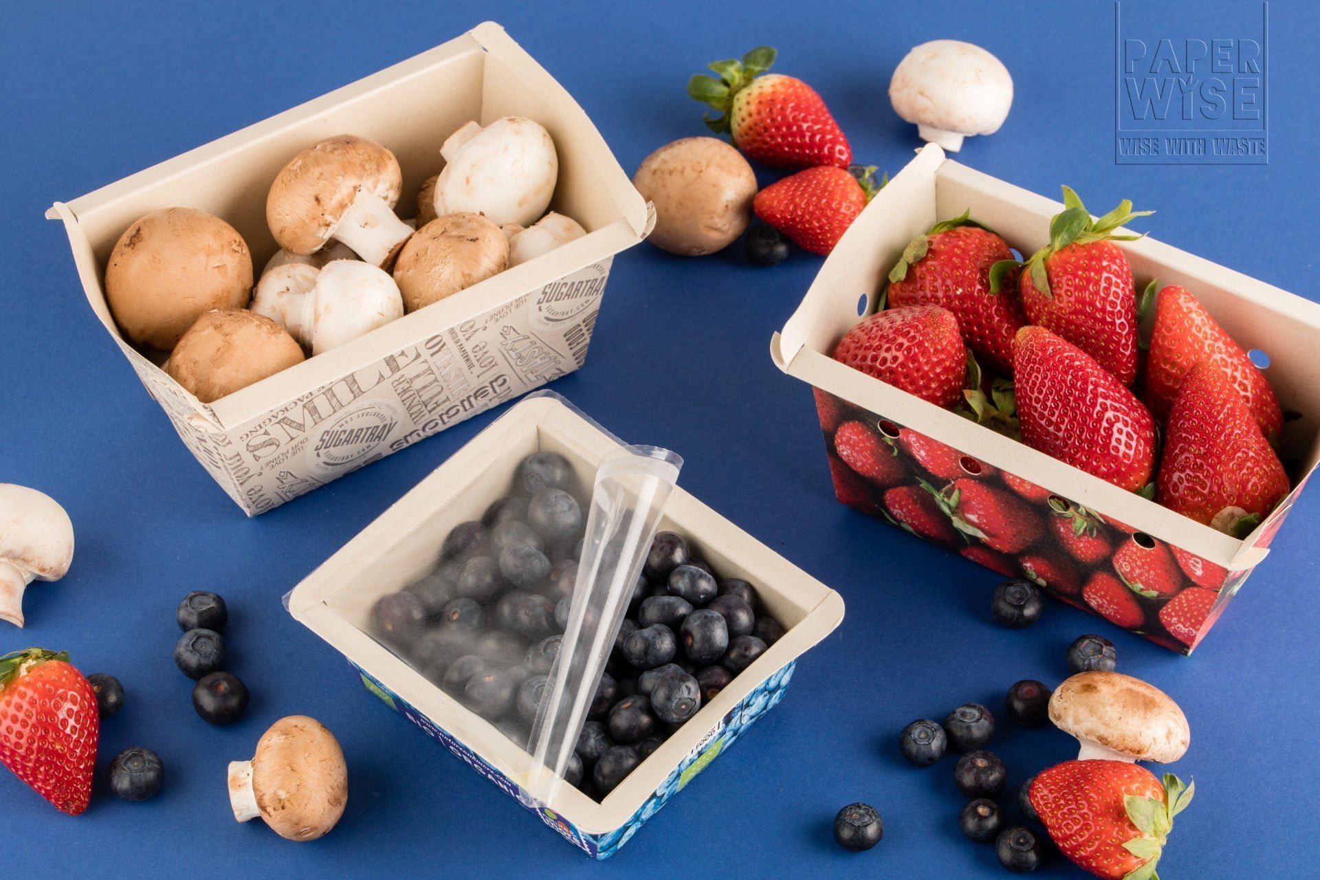 PLASTIC-FREE BIO PACKAGING FOR (SNACK) VEGETABLES AND SOFT FRUIT