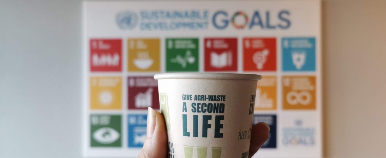 paperwise-eco-friendly-socially-responsible-paper-board-sdgs-sustainable-development-goals