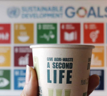 PaperWise umweltfreundlich sozial verantwortlich papier karton SDGs sustainable development goals