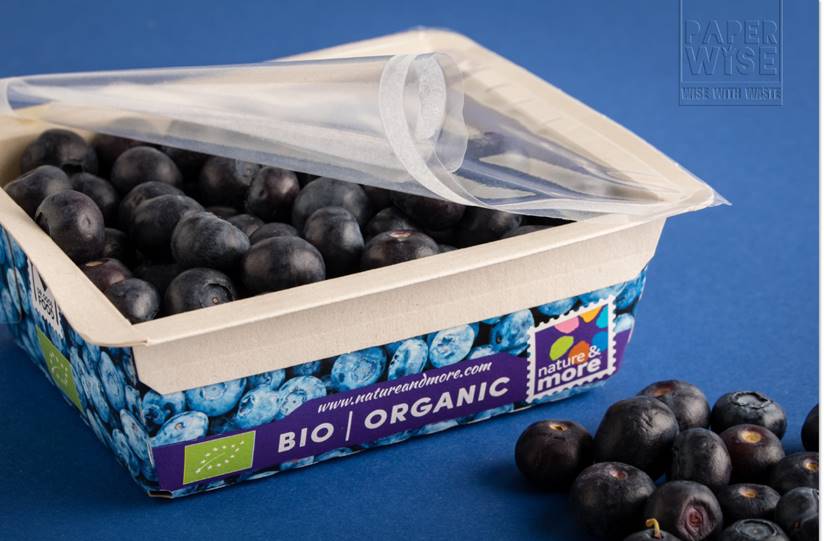 environmentally friendly packaging for blueberries