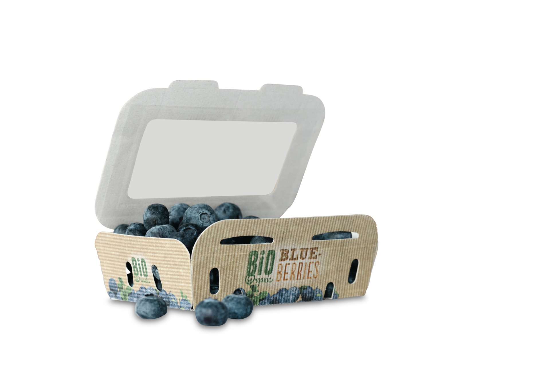 wp content uploads  0   05  plastic free fruit packaging microflute corrugated cardboard agri waste eosta 9c