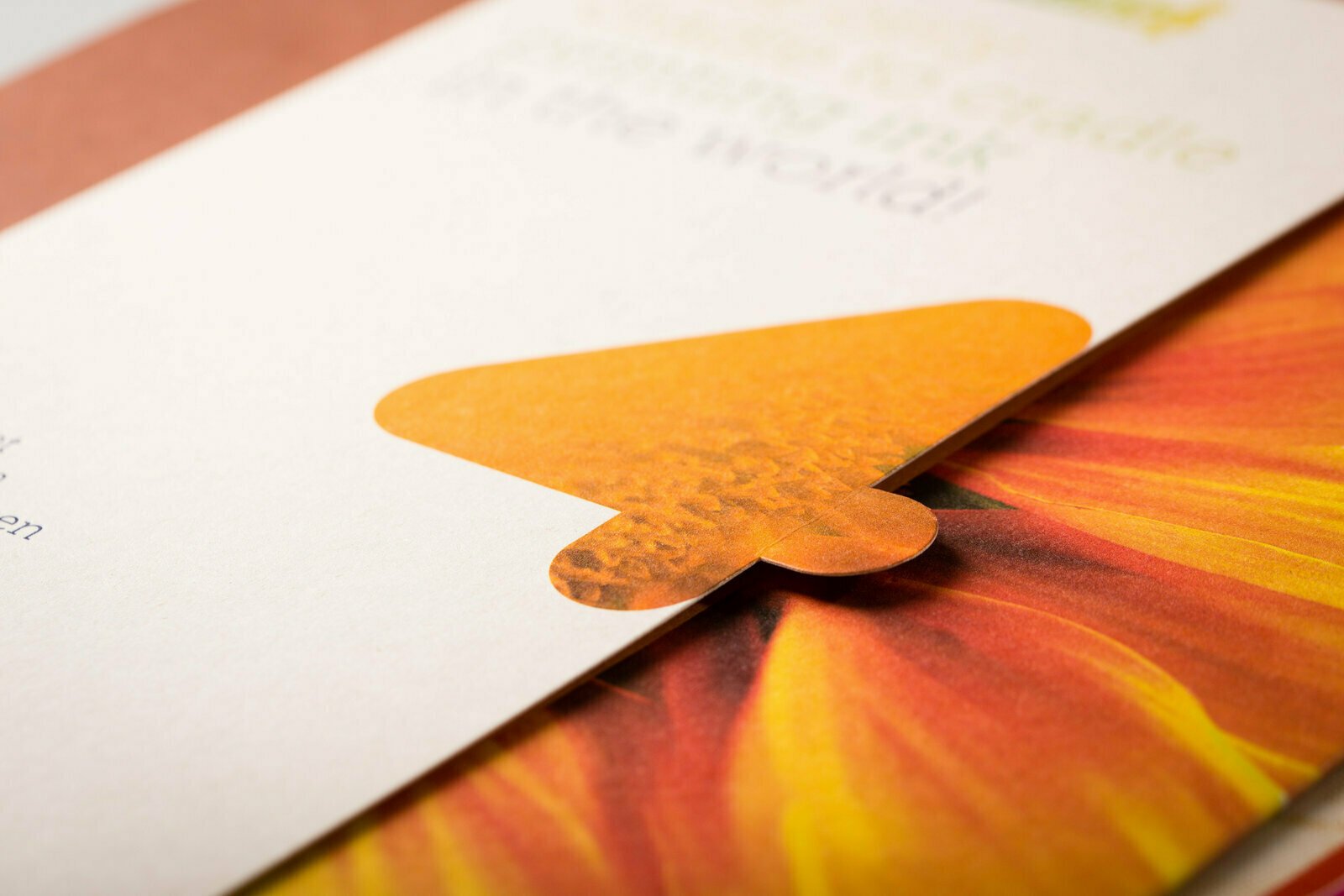 carpetas de presentación