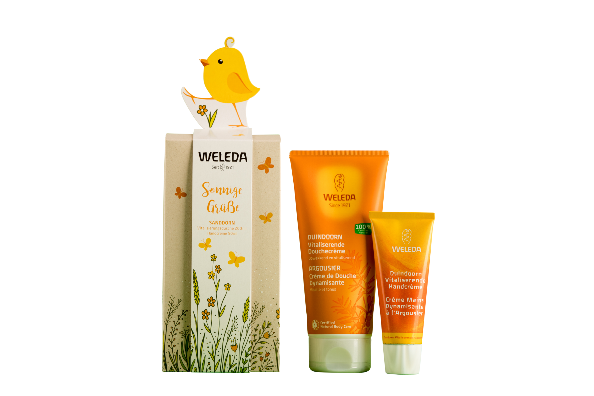 Carousel afbeelding 9