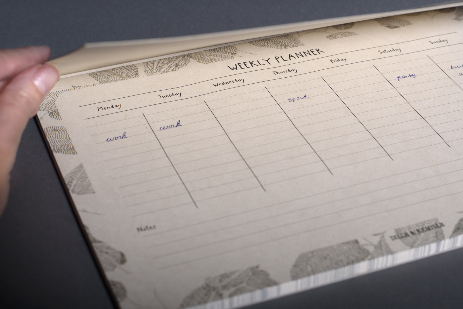 Carousel afbeelding 2