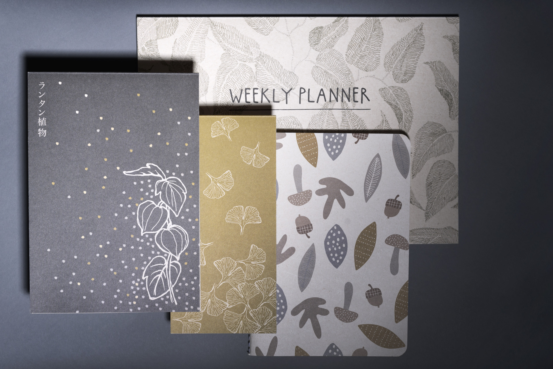 Carousel afbeelding 1