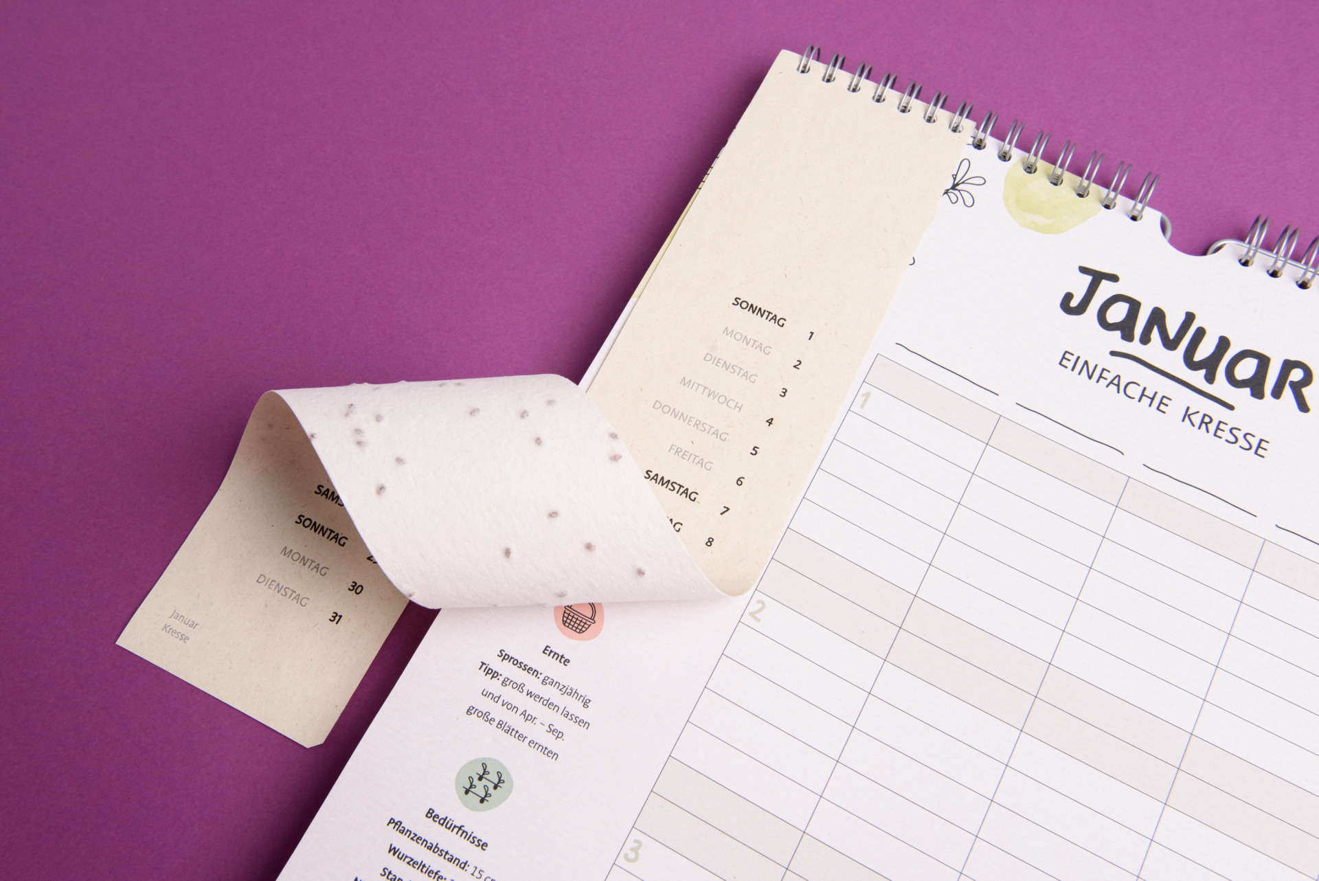 Carousel afbeelding 7