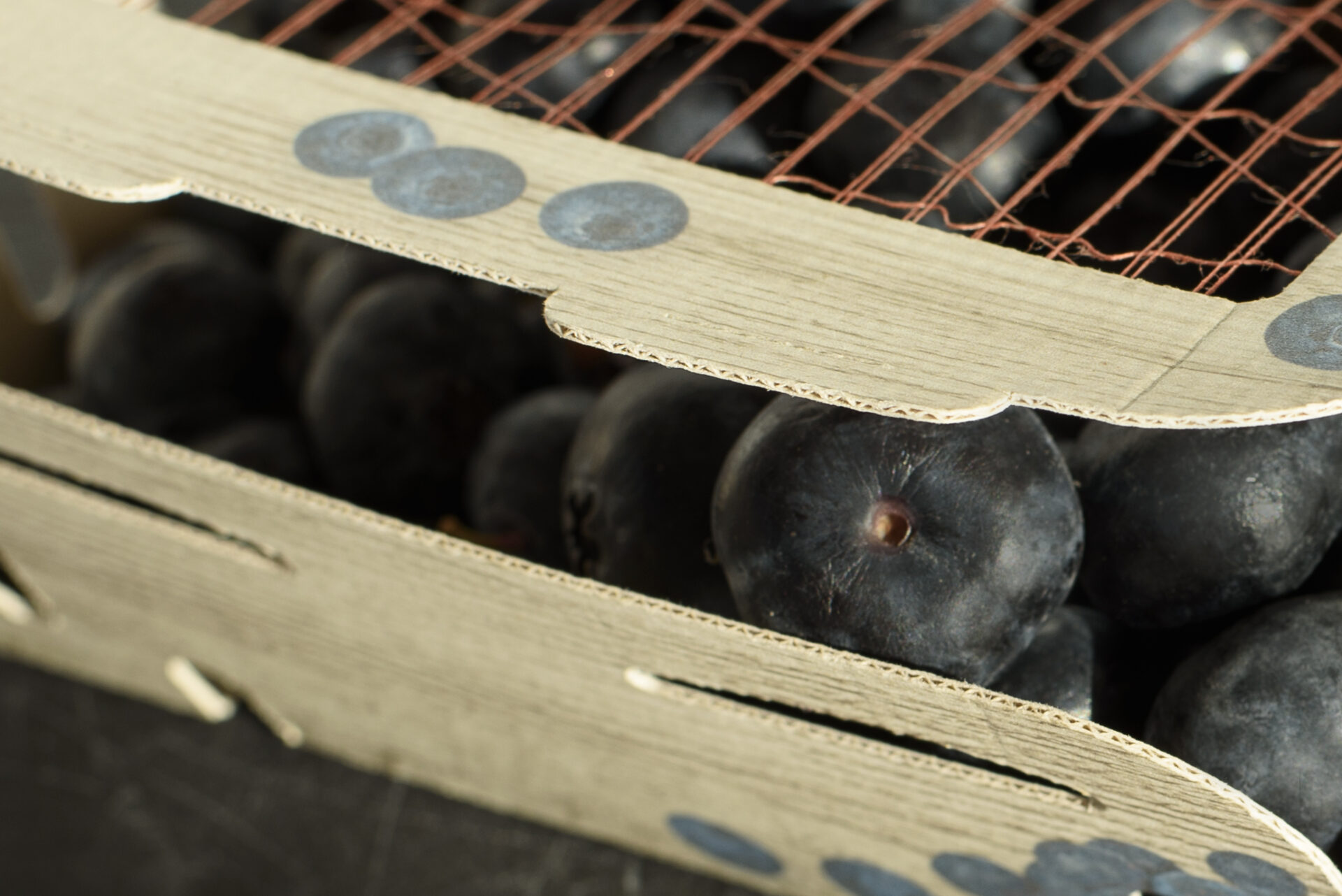 Carousel afbeelding 6