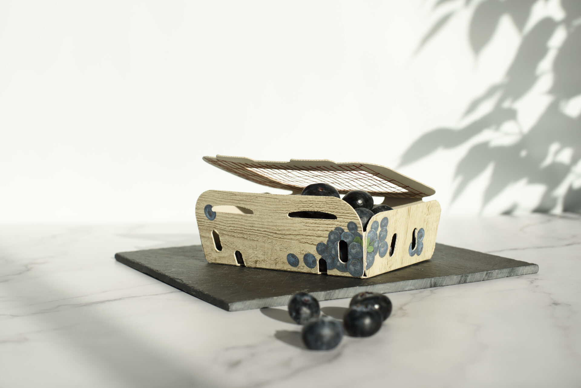 Carousel afbeelding 5